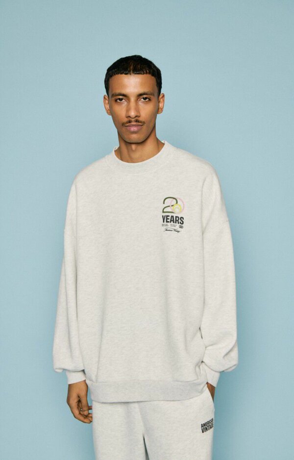 Sweat Mixte Baptown 20 Years Gris Chine - American Vintage – Image 3