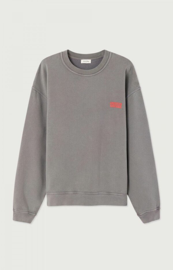 Sweat Plizzy Cendre Vintage - American Vintage
