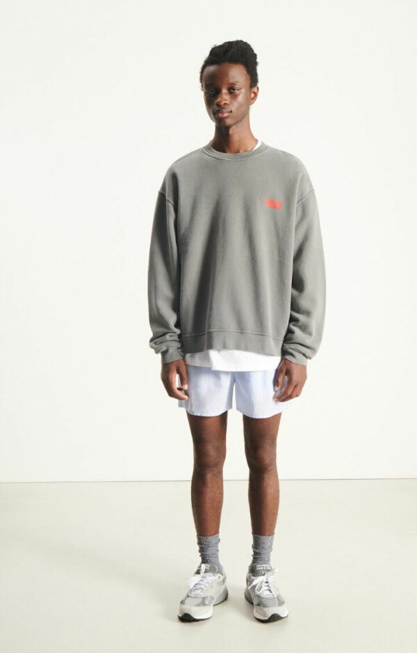 Sweat Plizzy Cendre Vintage - American Vintage – Image 2