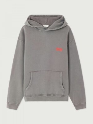 Sweat À Capuche Plizzy Cendre Vintage - American Vintage