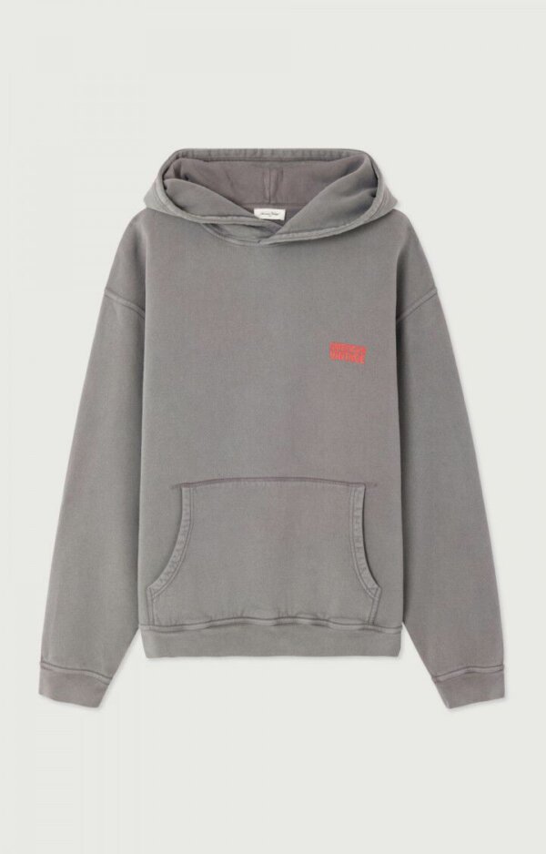 Sweat À Capuche Plizzy Cendre Vintage - American Vintage