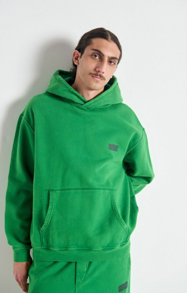 Sweat À Capuche Plizzy Chlorophylle Vintage - American Vintage – Image 2
