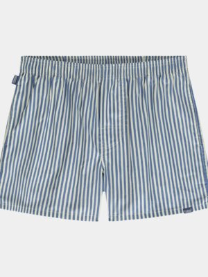 Blue Striped - Pockies