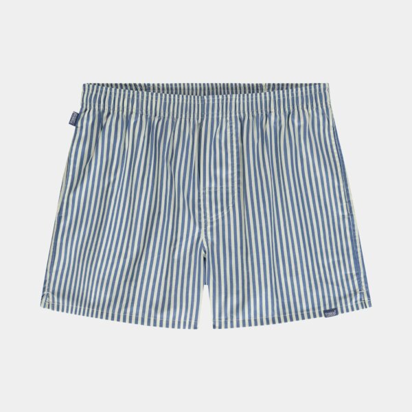 Blue Striped - Pockies