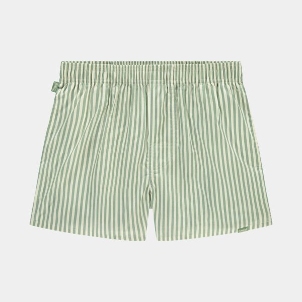 Green Striped - Pockies
